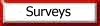 Surveys: Traditional & On-Line